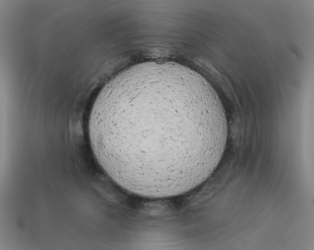 X0000113530516200910161352