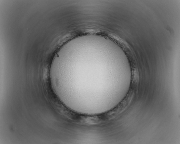 X0000113530517200910161352