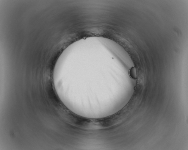 X0000113530518200910161352