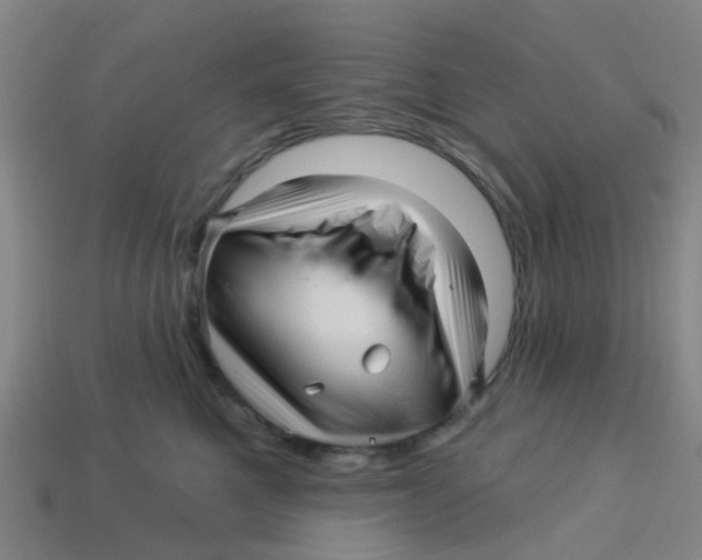 X0000113530521200910161352