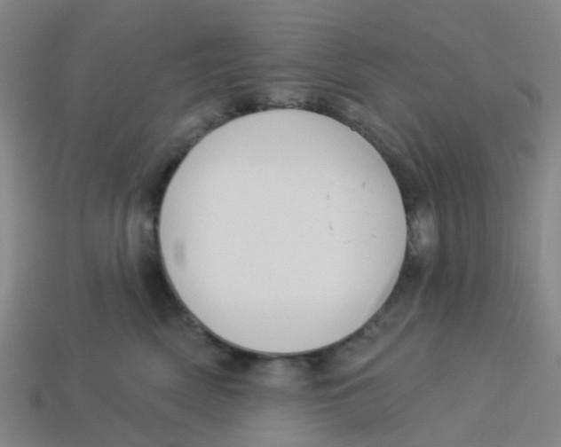 X0000113530522200910161352