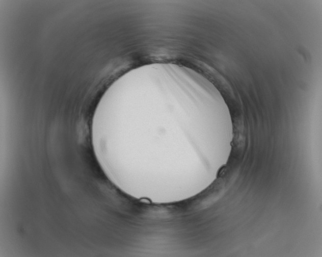 X0000113530523200910161352