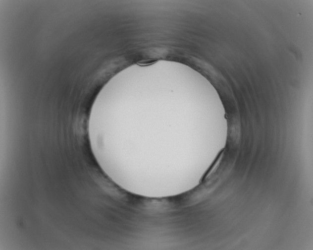 X0000113530525200910161352