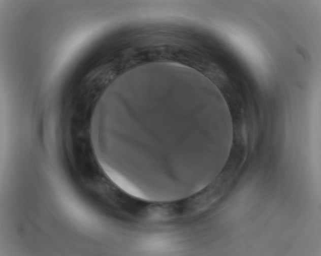 X0000113530526200910161352