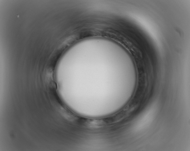 X0000113530527200910161352