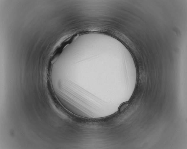 X0000113530530200910161351