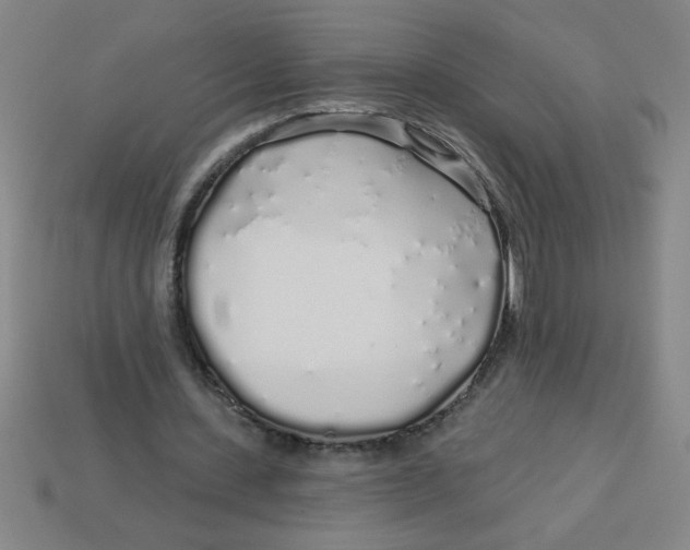 X0000113530531200910161351