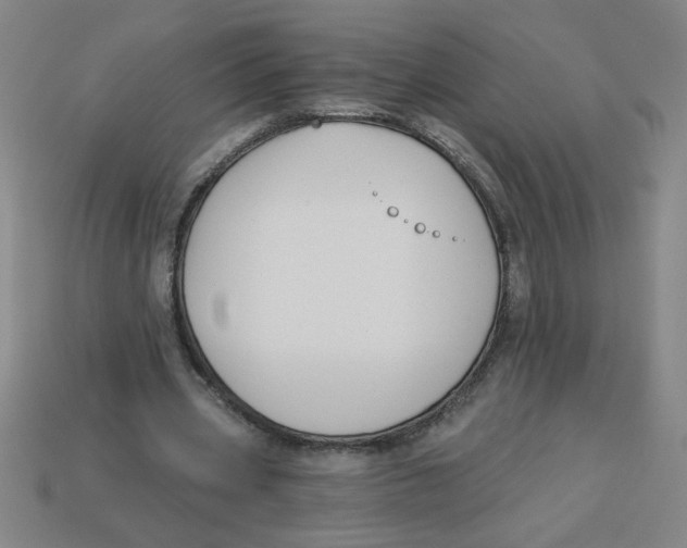 X0000113530533200910161352