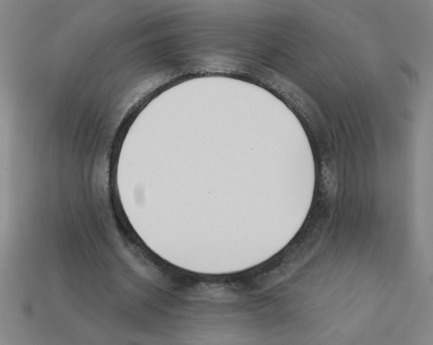 X0000113530534200910161352