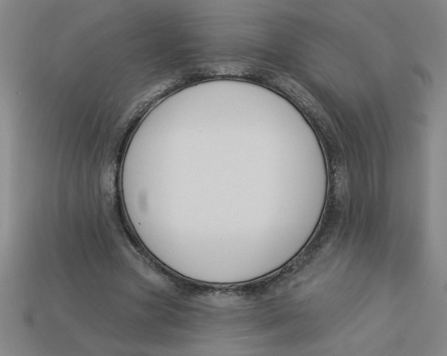 X0000113530537200910161352