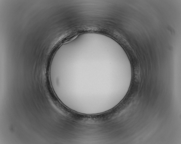 X0000113530538200910161352