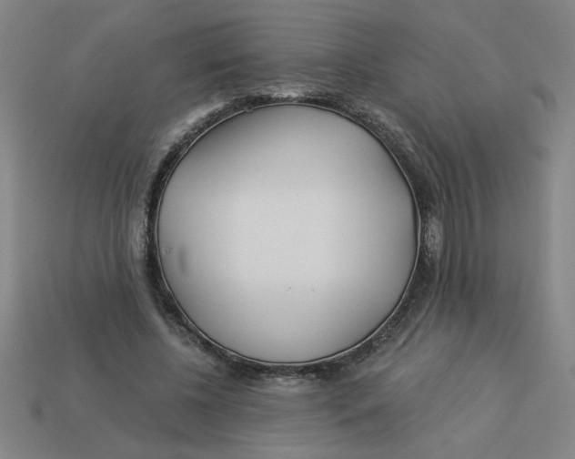 X0000113530540200910161352