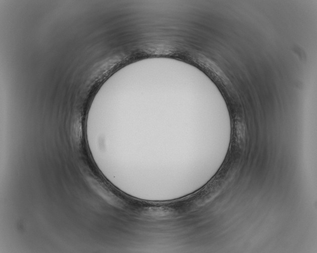 X0000113530541200910161352