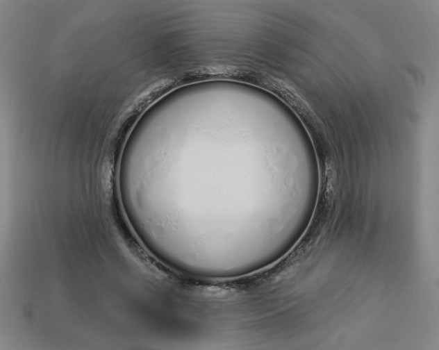 X0000113530542200910161352