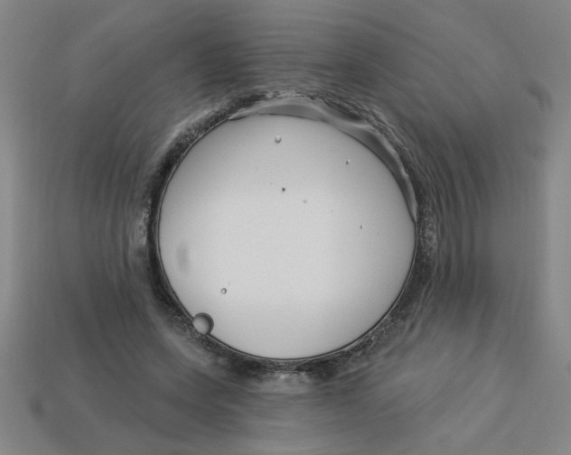 X0000113530543200910161352