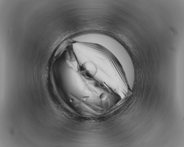 X0000113530544200910161352