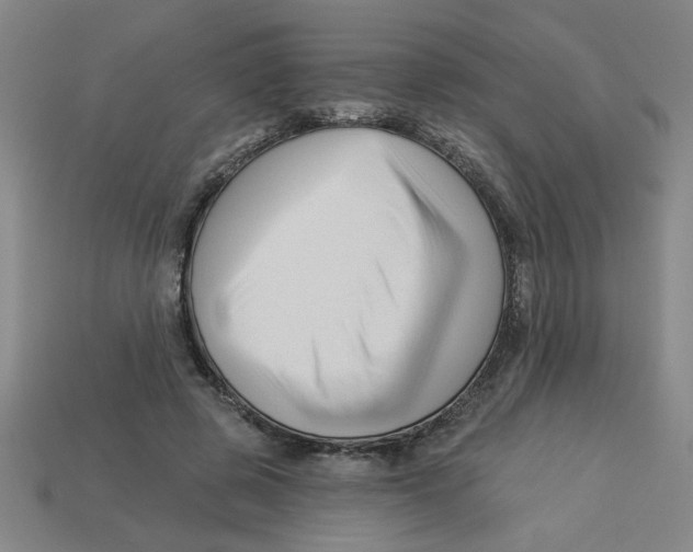 X0000113530545200910161352