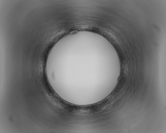 X0000113530546200910161352