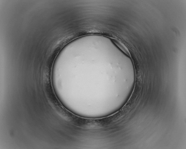 X0000113530547200910161352