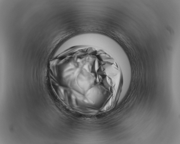 X0000113530548200910161352