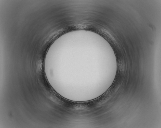 X0000113530549200910161352