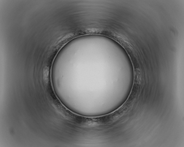 X0000113530550200910161352