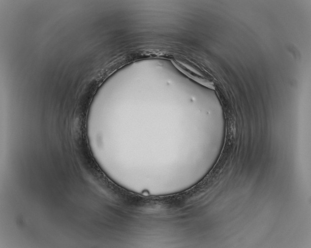 X0000113530551200910161352