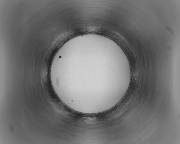 X0000113530552200910161352