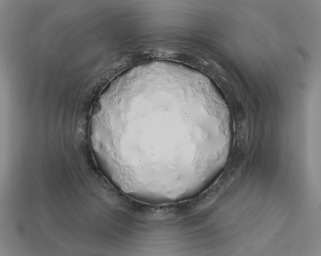 X0000113530553200910161352