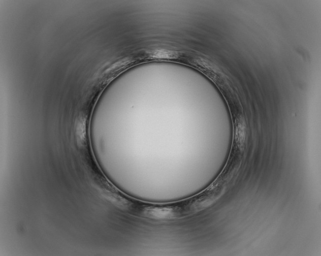 X0000113530554200910161352