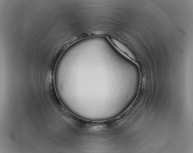 X0000113530555200910161352