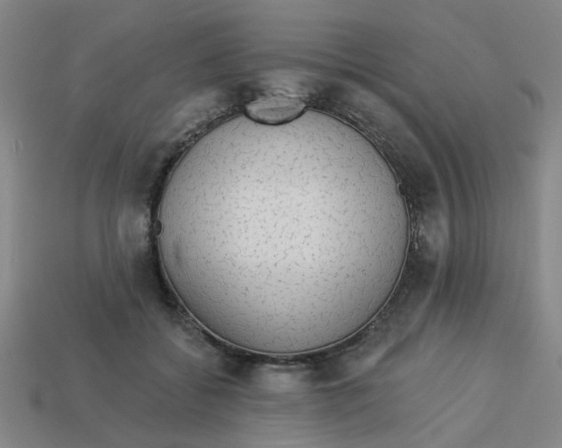 X0000113530556200910161352