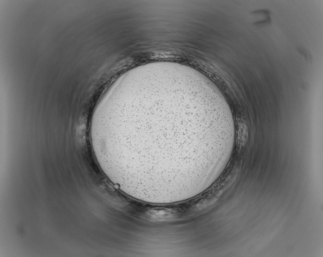 X0000113530557200910161352