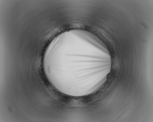 X0000113530560200910161352