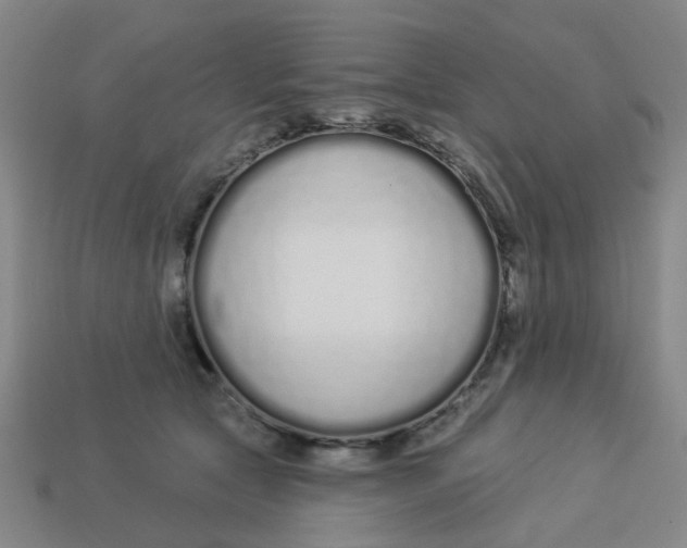 X0000113530561200910161352