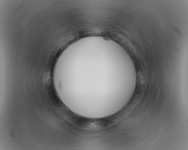 X0000113530564200910161352