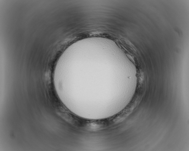 X0000113530565200910161352