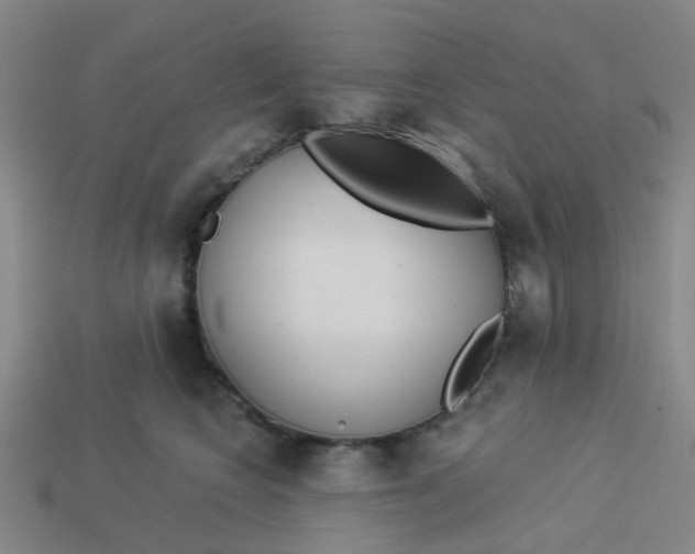 X0000113530566200910161352