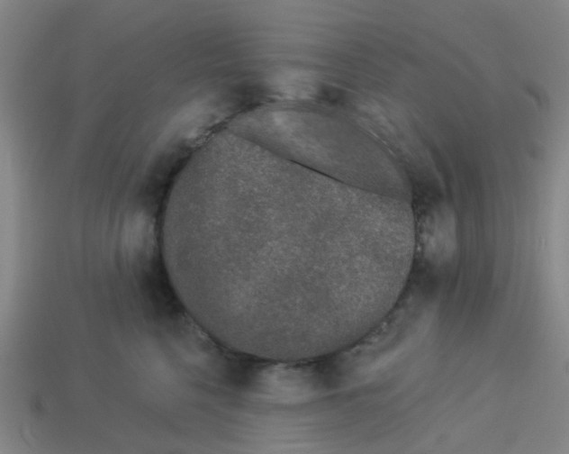 X0000113530568200910161352