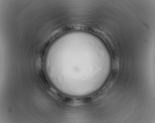 X0000113530569200910161352