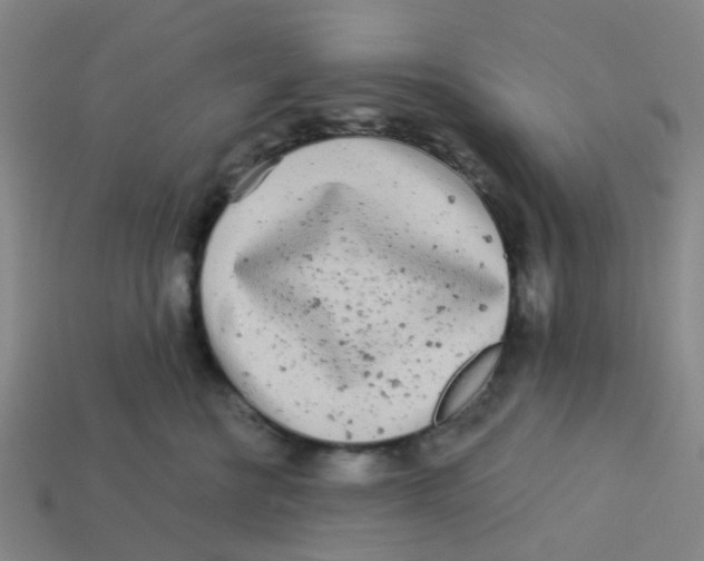 X0000113530570200910161352