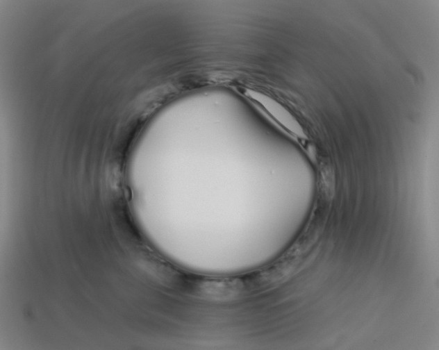 X0000113530571200910161352