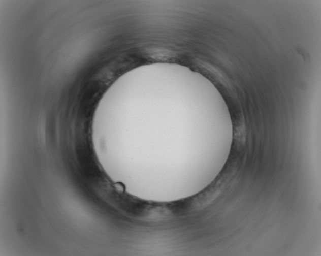 X0000113530572200910161352