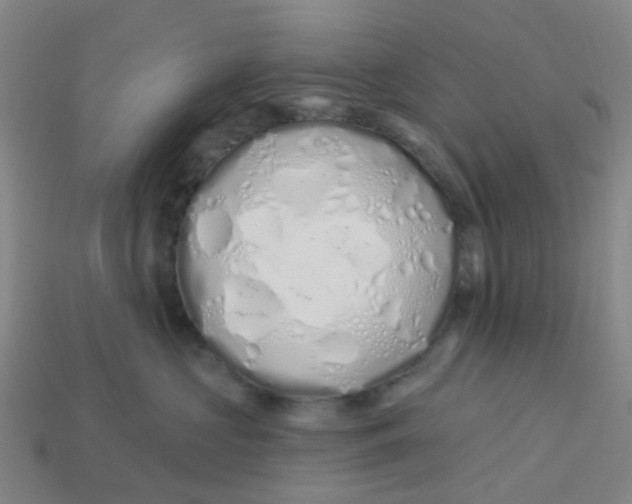 X0000113530573200910161352