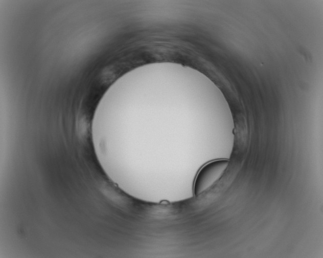 X0000113530574200910161352