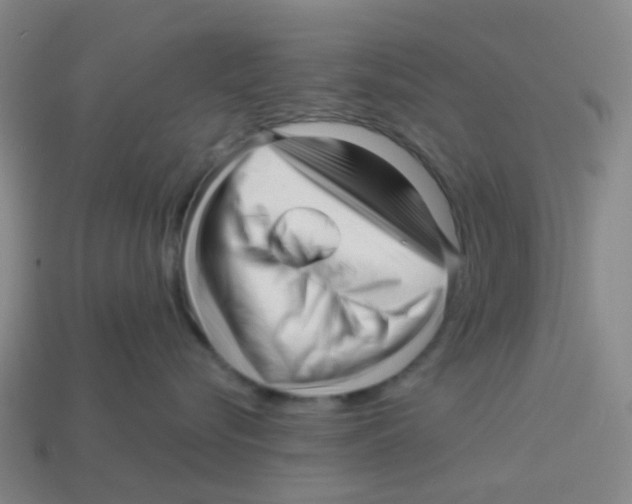 X0000113530576200910161352