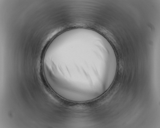 X0000113530578200910161351