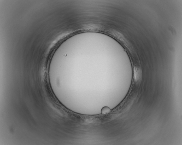 X0000113530579200910161351