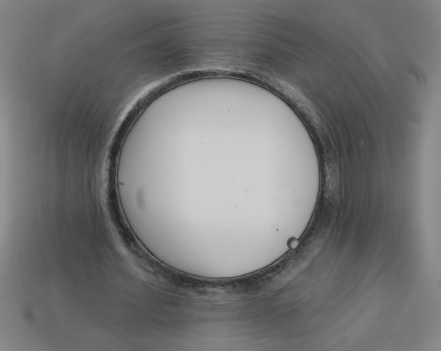 X0000113530580200910161351