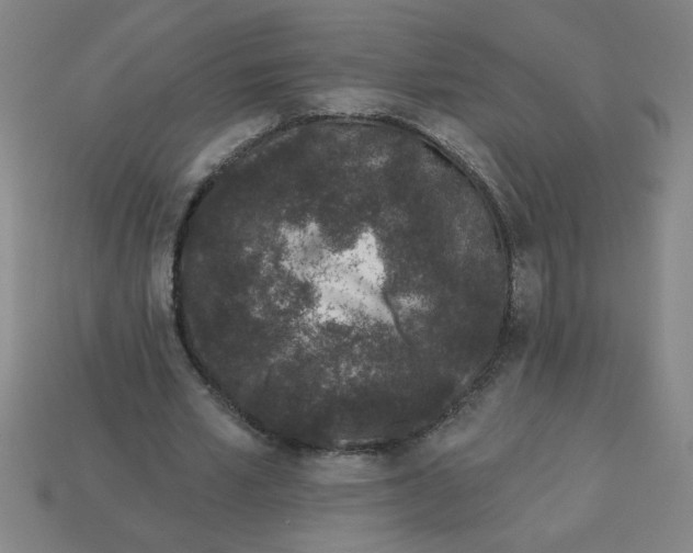 X0000113530581200910161351